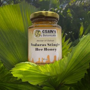 Nectar of Oshun: 4oz honey pot